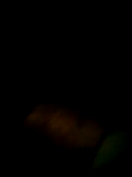 Yerackhip online show from 03-09-26, 12:47