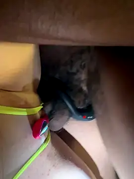 secretknight Mrmask online show from 11-22-25, 07:18