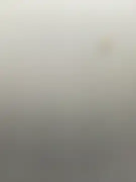 B meliodas online show from 11-04-25, 08:08