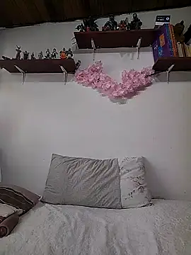 salomehill1 online show from 12-17-25, 08:04