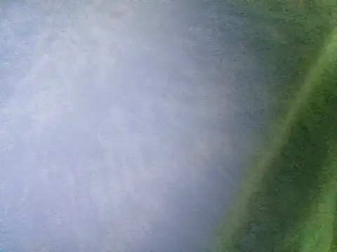 Ramzes1992Analog online show from 11-05-25, 01:05