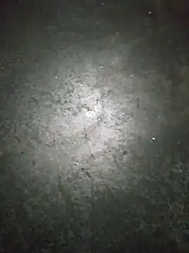 WillfulVideo online show from 11-13-25, 09:52