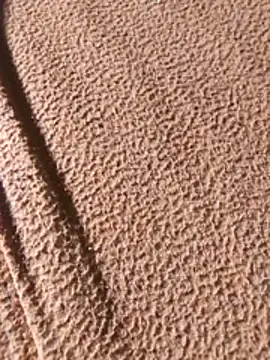 WillfulVideo online show from 02-07-26, 08:07