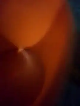 WillfulVideo online show from 03-24-26, 08:08