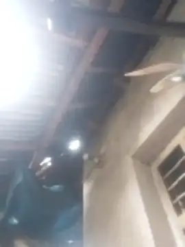 jacka 305 online show from 01-17-26, 03:11