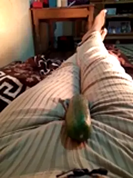 Tota sexi online show from 11-28-25, 10:51