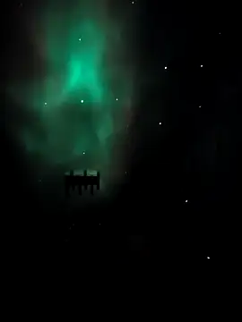 arcacsel online show from 11-24-25, 10:53