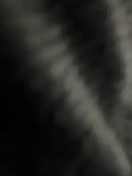 Snapshot of kangro_80 chatting on 12-01-25, 11:26 kangro 80 online show from 12-01-25, 11:26