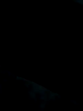 Heterobusca online show from 11-20-25, 07:52