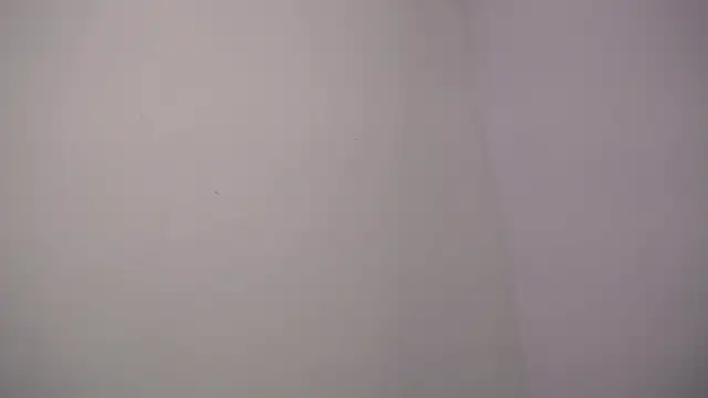 selene rouse  online show from 11-14-25, 10:07