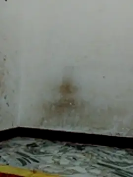 Bigg bhabi online show from 01-31-26, 11:14