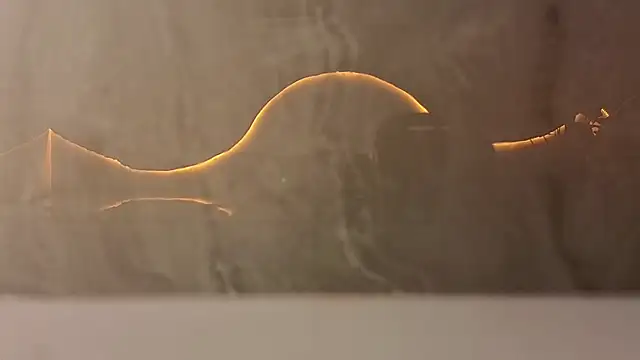 samy tp online show from 12-05-25, 07:21