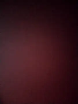 Guarnerstyle online show from 12-22-25, 04:42