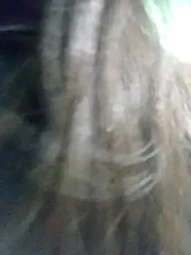 Snapshot of Disha_Nur0 chatting on 02-07-26, 08:45 Disha Nur0 online show from 02-07-26, 08:45