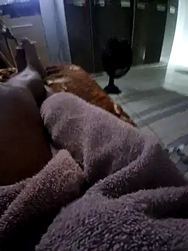 Snapshot of krett65 chatting on 12-05-25, 01:03 krett65 online show from 12-05-25, 01:03