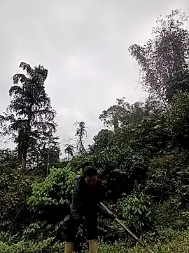 Snapshot of meomeo-00 chatting on 03-18-26, 08:06 meomeo-00 online show from 03-18-26, 08:06