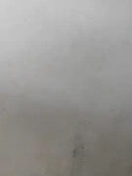 fpic online show from 02-07-26, 04:22