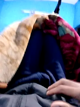 vaasuboy01 online show from 11-19-25, 05:57