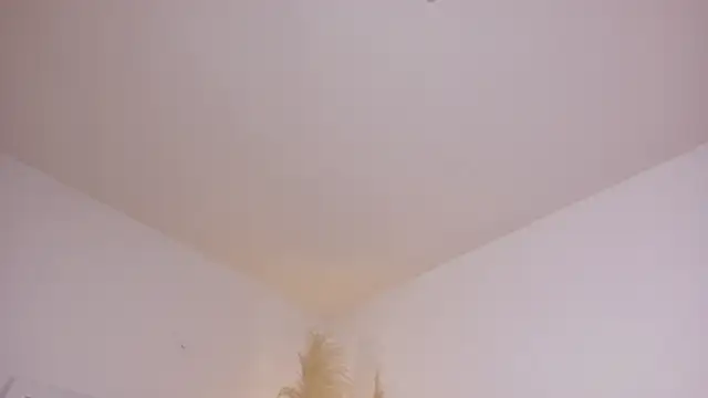 Snapshot of am_berr chatting on 12-13-25, 07:53 am berr online show from 12-13-25, 07:53