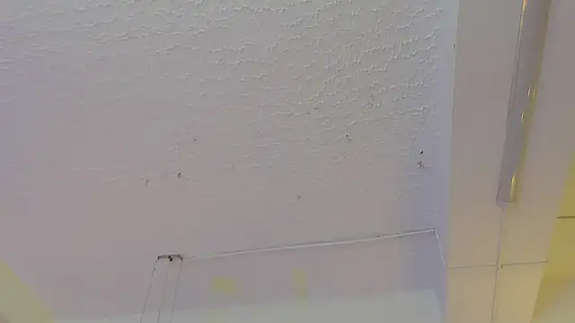 pucca7 online show from 05-13-26, 12:13