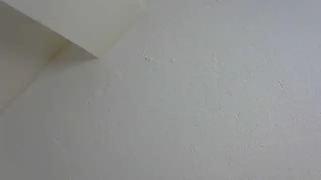 Speedo1988 online show from 01-17-26, 07:17