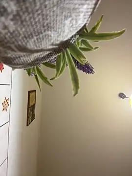 Snapshot of CrazyJessika chatting on 03-09-26, 09:08 CrazyJessika online show from 03-09-26, 09:08