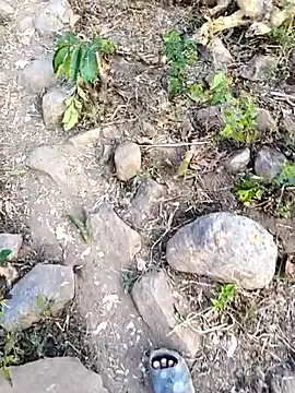 desi alpha boy online show from 02-03-26, 01:48