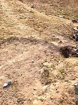 desi alpha boy online show from 02-04-26, 02:06