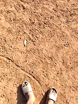 desi alpha boy online show from 02-07-26, 02:48