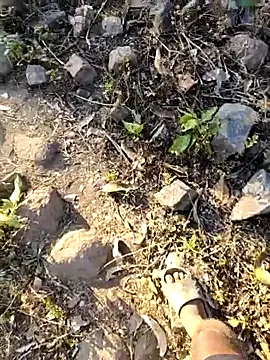 desi alpha boy online show from 02-08-26, 02:04