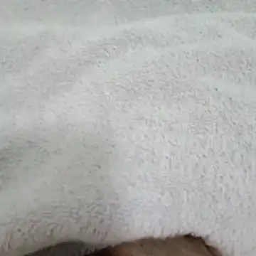 Snapshot of Novinhocomedordeppk chatting on 01-12-26, 03:50 Novinhocomedordeppk online show from 01-12-26, 03:50