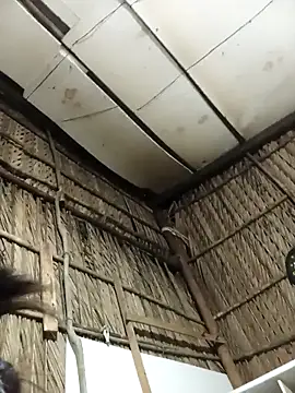 Lin-kute98 online show from 02-04-26, 01:06