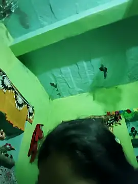 Punam panjabi online show from 02-15-26, 06:32