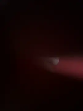 Snapshot of PartiedOmelet chatting on 11-24-25, 07:24 PartiedOmelet online show from 11-24-25, 07:24