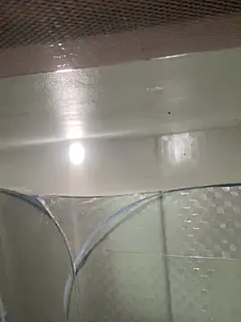 muti99 online show from 02-08-26, 12:52