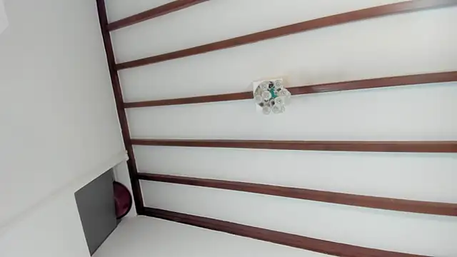 IsaSantoDomingo online show from 01-31-26, 10:52