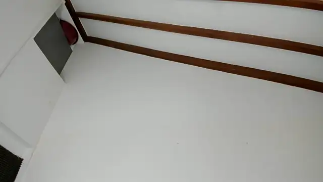 IsaSantoDomingo online show from 02-03-26, 06:35