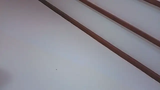 IsaSantoDomingo online show from 02-05-26, 09:52