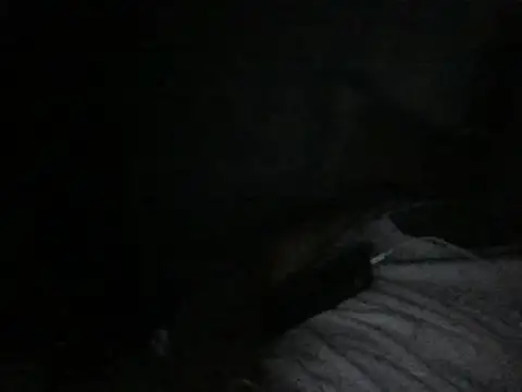 modiji 999 online show from 03-05-26, 10:39