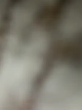 Chrisd3195 online show from 02-22-26, 06:02