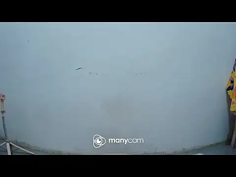 hottiemama69 online show from 03-21-26, 08:23