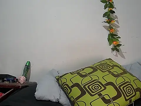 2 milo verus 4 online show from 02-04-26, 11:31