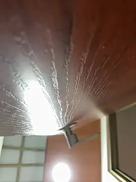 Dafne se online show from 01-18-26, 12:36