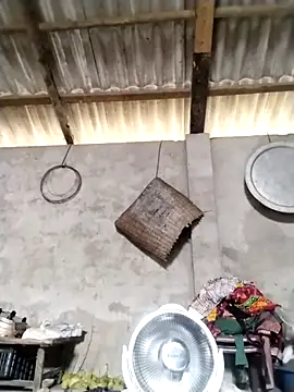 LeoPet2x online show from 03-16-26, 05:44