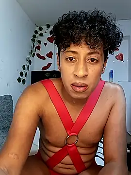 Varek biglatin dick online show from 01-12-26, 02:28