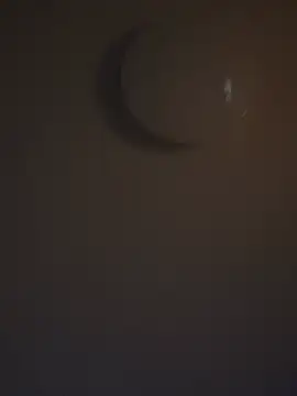 DutchMiracle26 online show from 04-28-26, 11:10