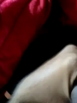 mast boy online show from 12-14-25, 08:52