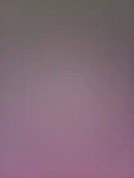 gatitachula93 online show from 02-10-26, 01:48