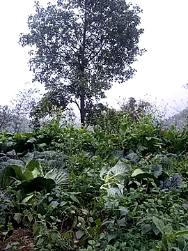 Snapshot of sary-hot2x chatting on 02-24-26, 10:46 sary-hot2x online show from 02-24-26, 10:46