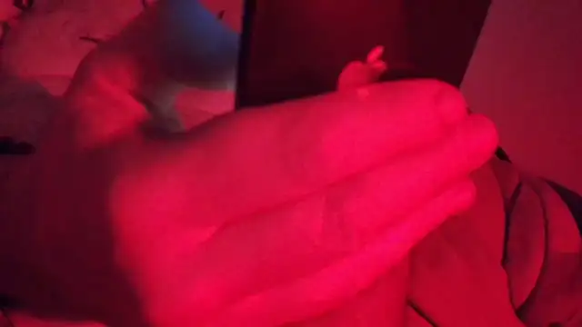 SubTotal  online show from 02-10-26, 04:38